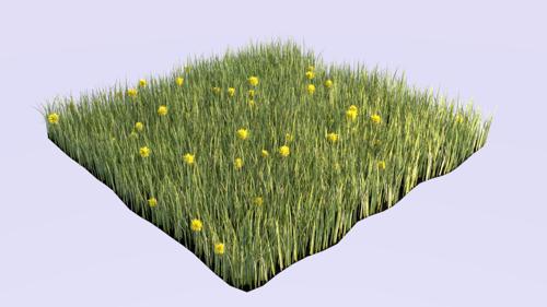 Cycles Grass & Dandelions preview image